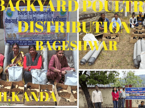 Distribution of poultry units done for livelihood enhancement