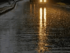 Meteorological Department issued forecast regarding rain