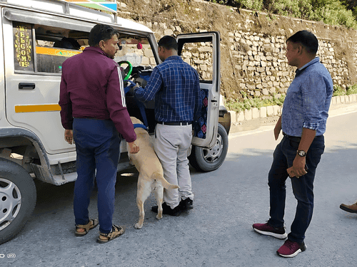 Smuggler arrested with 02 kg 500 grams cannabis leaf