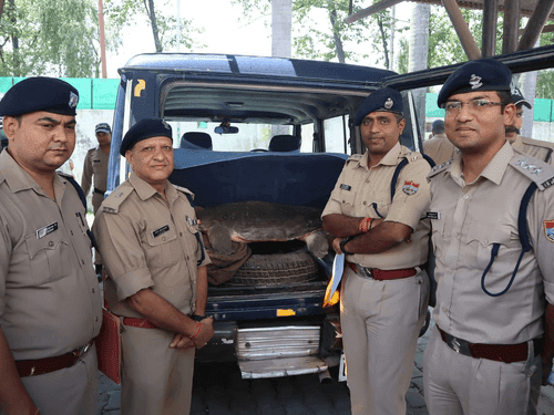 Big action of Udham Singh Nagar Police against wildlife smugglers