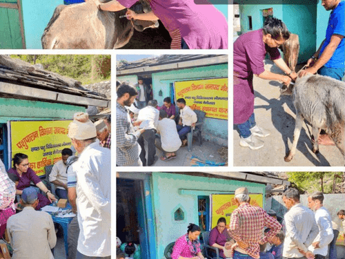 Veterinary camp was organized in village Lugar and Gaanja