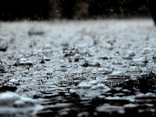 Meteorological Department issued alert regarding rain