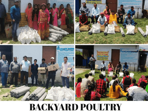 One-day poultry units were distributed for livelihood enhancement