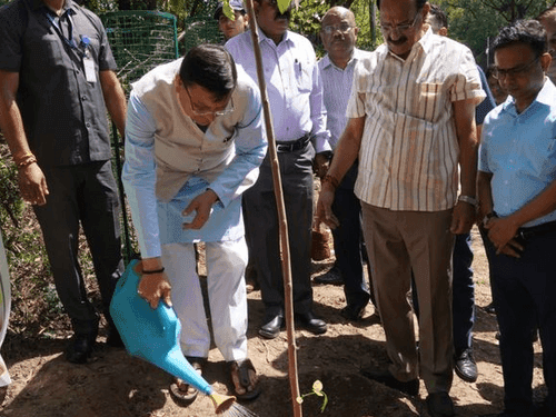 CM Dhami planted saplings on the occasion of World Environment Day