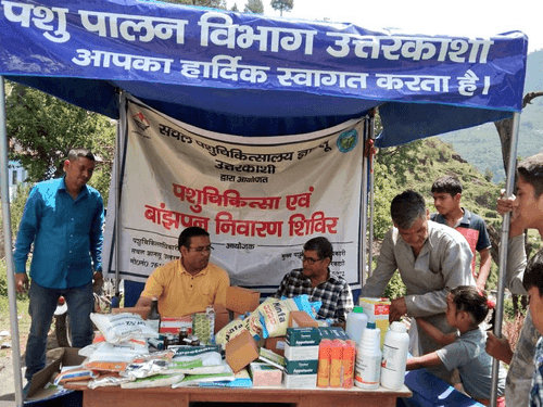 Veterinary camp was organized in village Maneri